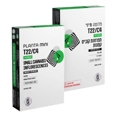 זרברי (Zerberry)