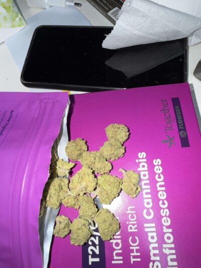 קושר קוש (Kosher Kush)