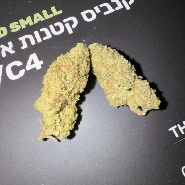 סלוריקיין (Slurricane)