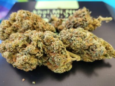 קאליפה מינטס (Khalifa Mints)