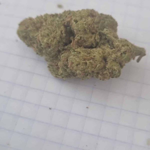 קאלי מיסט (Kali Mist)