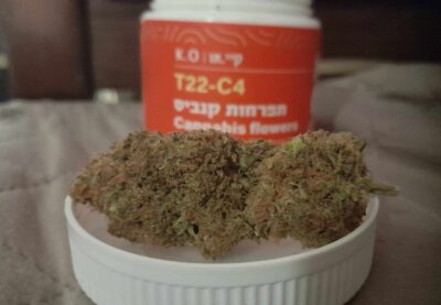 טריפל צ'יז (Triple Cheese)