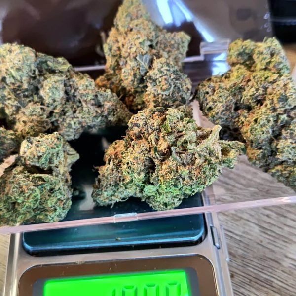 קרמל קאט ת'רווט (Karmel Kut Throat)