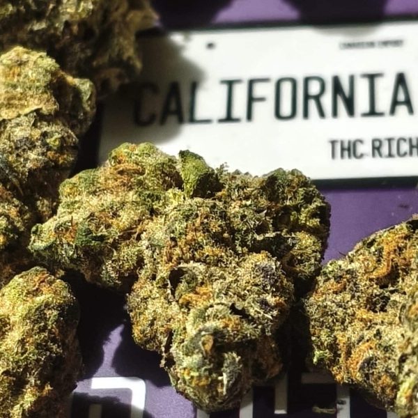 הוליווד אוג'י (Hollywood OG)