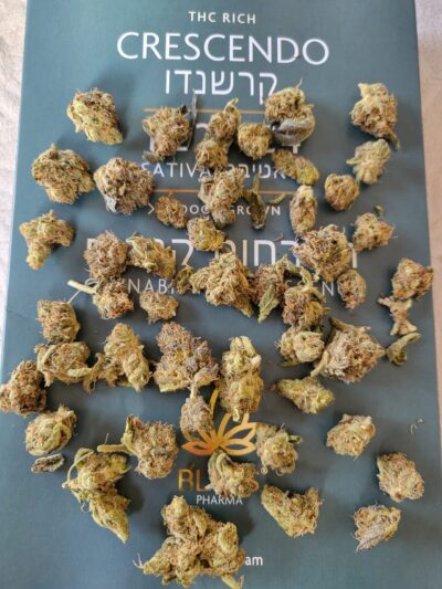 קרשנדו (Crescendo)