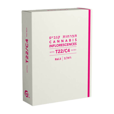 אמנזיה (Amnesia)