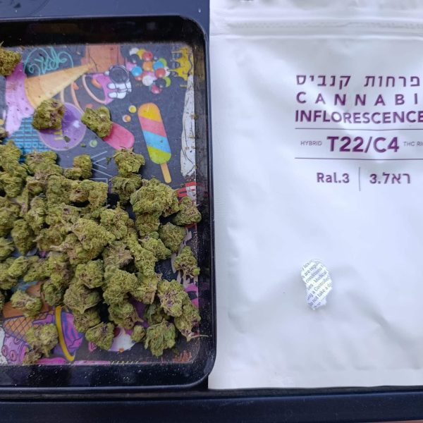 צונאמי (Zunami)