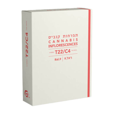 ג'ין גאי (Jean Guy)