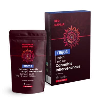 מרינג (Meringue)