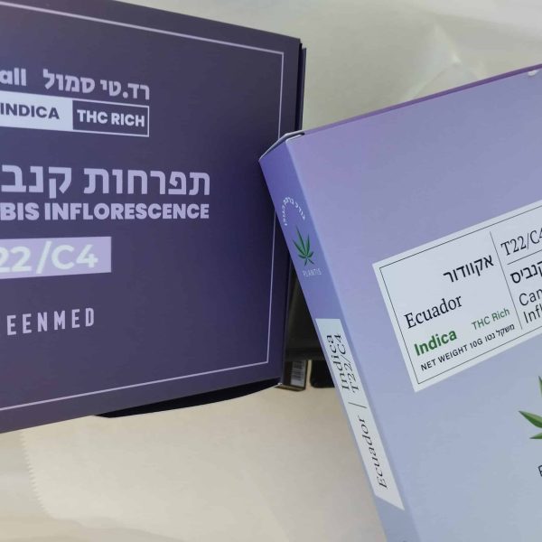 גסצ'טה (Gaschata)