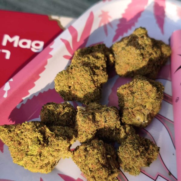 פרוזן מרגי (Frozen Margy)