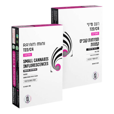 טרופיק ת'אנדר (Tropik Thunder)