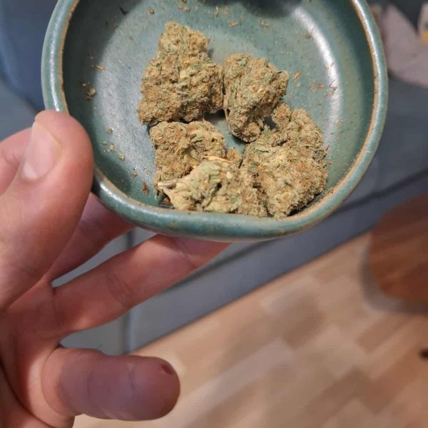 דונקי בולז (Donkey Ballz)