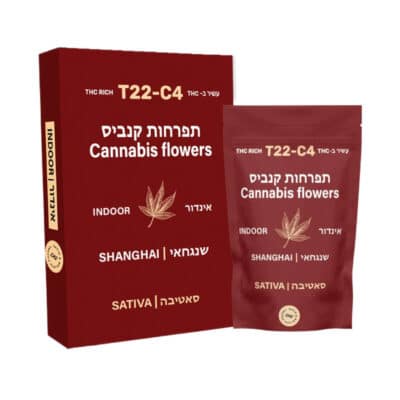 ווייט קוקונט פאי (White Coconut Pie)